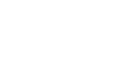 Logo Zurich